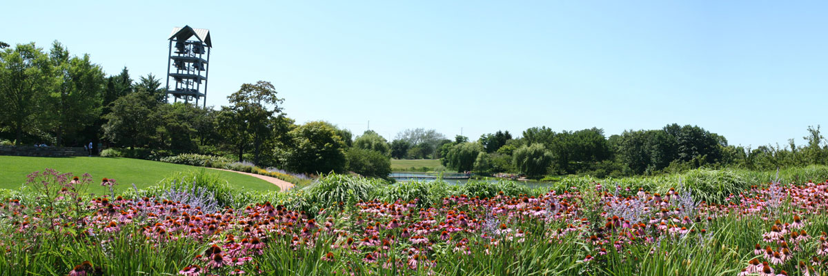 SCENERY mountain`LC-SN-11